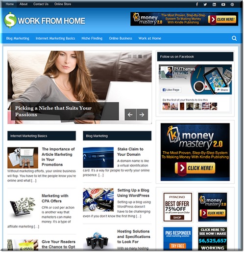 Product picture Pre-made Website & Blog: Working from Home