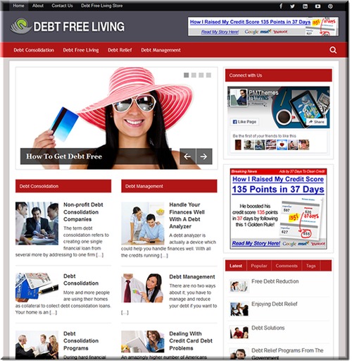 Product picture Premade Website & Blog: Debt Free PLR Blog